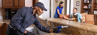 Professional Pest Control in Jacksboro, TX